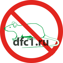 Уничтожение крыс в Геленджике